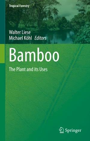 Bamboo