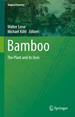 Bamboo