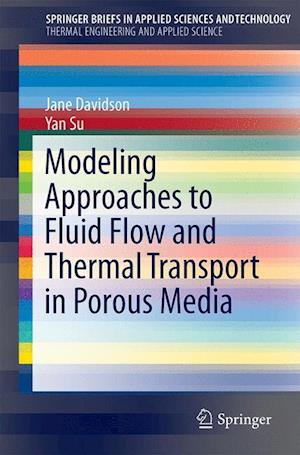 Modeling Approaches to Natural Convection in Porous Media