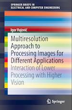 Multiresolution Approach to Processing Images for Different Applications