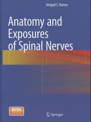 Anatomy and Exposures of Spinal Nerves