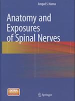 Anatomy and Exposures of Spinal Nerves
