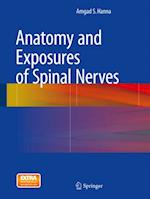 Anatomy and Exposures of Spinal Nerves