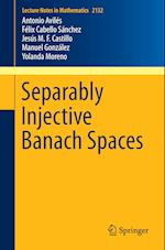 Separably Injective Banach Spaces