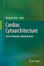 Cardiac Cytoarchitecture