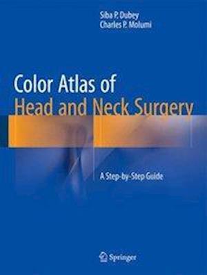 Color Atlas of Head and Neck Surgery