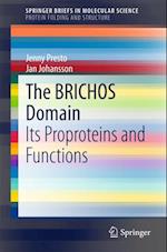 BRICHOS Domain