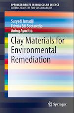 Clay Materials for Environmental Remediation