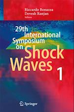 29th International Symposium  on Shock Waves 1