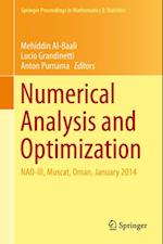 Numerical Analysis and Optimization