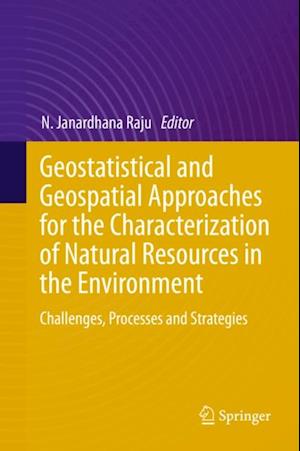Geostatistical and Geospatial Approaches for the Characterization of Natural Resources in the Environment