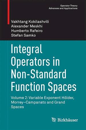 Integral Operators in Non-Standard Function Spaces