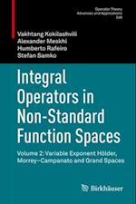 Integral Operators in Non-Standard Function Spaces