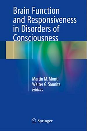 Brain Function and Responsiveness in Disorders of Consciousness