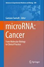 microRNA: Cancer