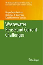 Wastewater Reuse and Current Challenges