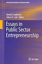 Essays in Public Sector Entrepreneurship