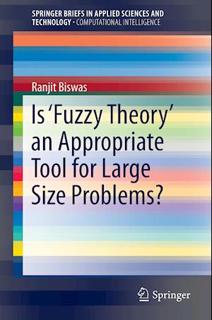 Is ‘Fuzzy Theory’ an Appropriate Tool for Large Size Problems?