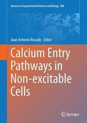 Calcium Entry Pathways in Non-excitable Cells