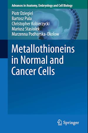 Metallothioneins in Normal and Cancer Cells