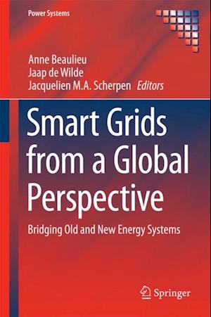 Smart Grids from a Global Perspective