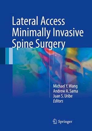 Lateral Access Minimally Invasive Spine Surgery