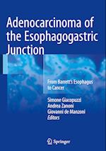 Adenocarcinoma of the Esophagogastric Junction