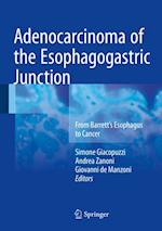 Adenocarcinoma of the Esophagogastric Junction