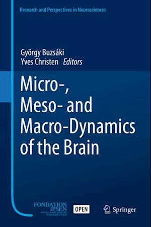 Micro-, Meso- and Macro-Dynamics of the Brain