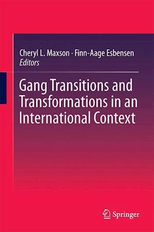 Gang Transitions and Transformations in an International Context