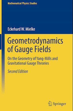 Geometrodynamics of Gauge Fields