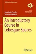 An Introductory Course in Lebesgue Spaces