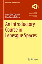 Introductory Course in Lebesgue Spaces