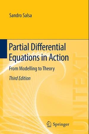 Partial Differential Equations in Action