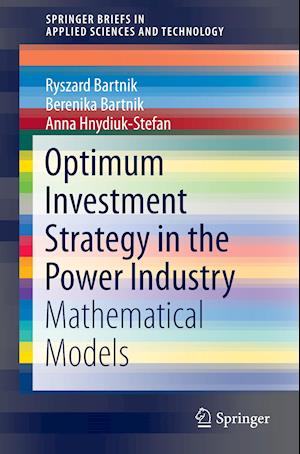 Optimum Investment Strategy in the Power Industry