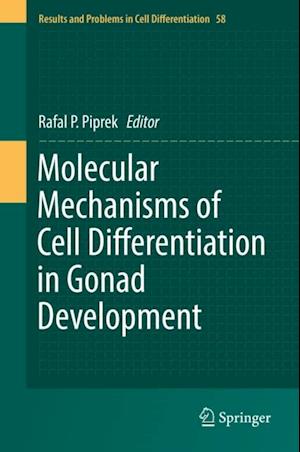 Molecular Mechanisms of Cell Differentiation in Gonad Development