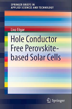 Hole Conductor Free Perovskite-based Solar Cells