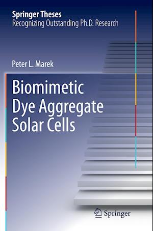 Biomimetic Dye Aggregate Solar Cells