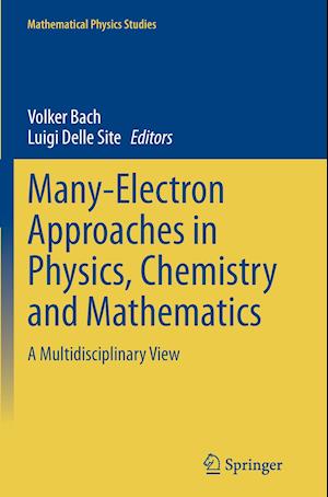 Many-Electron Approaches in Physics, Chemistry and Mathematics