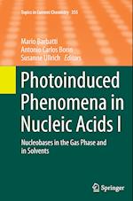 Photoinduced Phenomena in Nucleic Acids I