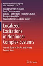 Localized Excitations in Nonlinear Complex Systems