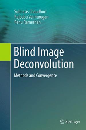 Blind Image Deconvolution