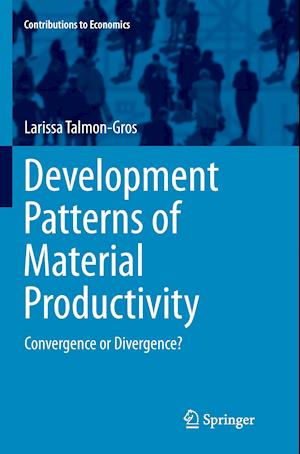 Development Patterns of Material Productivity