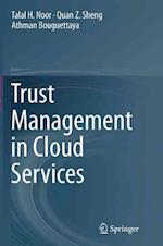 Trust Management in Cloud Services
