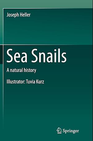 Sea Snails