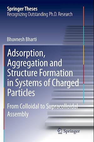 Adsorption, Aggregation and Structure Formation in Systems of Charged Particles