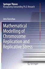 Mathematical Modelling of Chromosome Replication and Replicative Stress