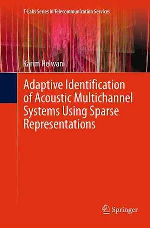 Adaptive Identification of Acoustic Multichannel Systems Using Sparse Representations