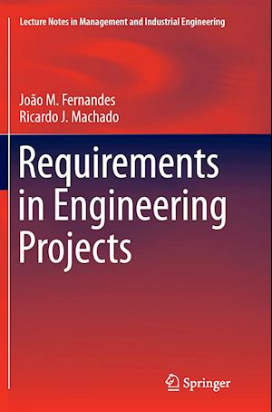 Requirements in Engineering Projects