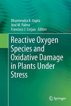 Reactive Oxygen Species and Oxidative Damage in Plants Under Stress